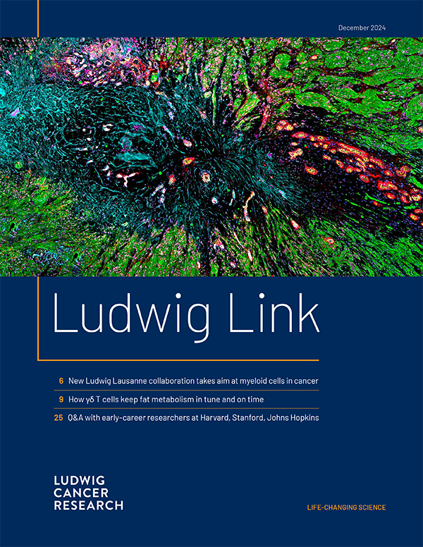 Ludwig Link, December 2024 issue